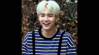 Cover art for i bet on losing dogs