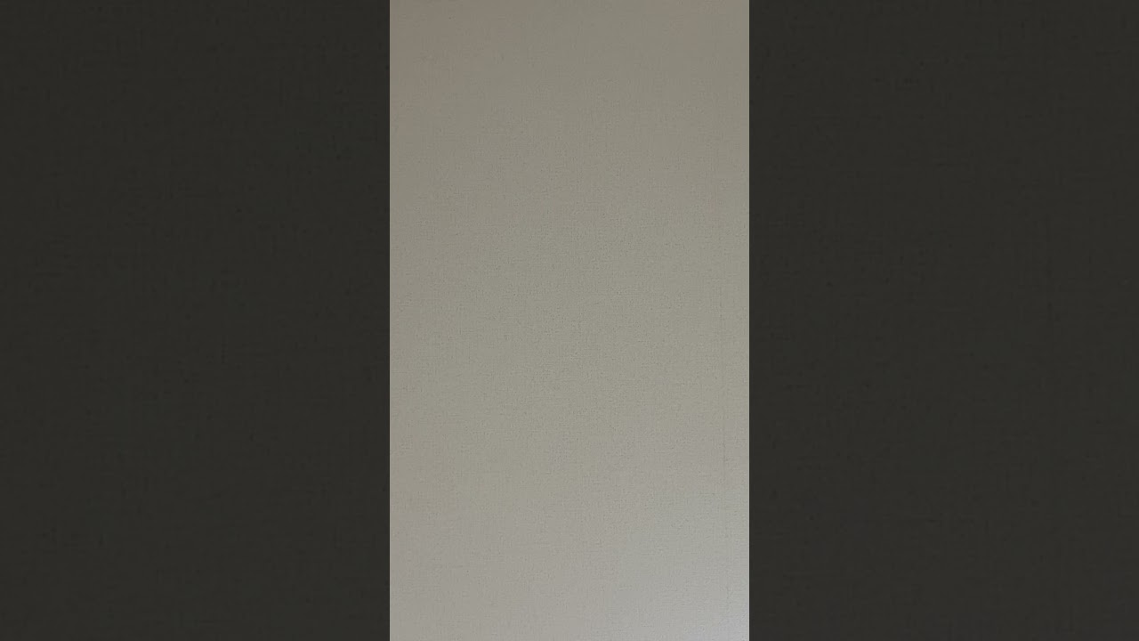 生きてます😼👊🏻❤️‍🔥