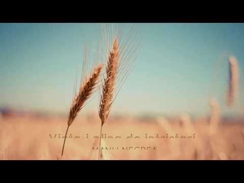 Manu Negrea - Viata-i plina de intristari