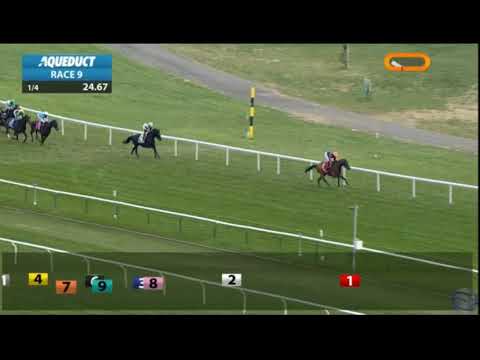 Aqueduct Racetrack - $100,000 Red Smith Stakes (Grade 3) Nov 21st, 2020