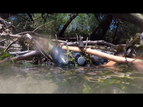 Die Isar in München, ein Wildfluss, den es zu schützen gilt.