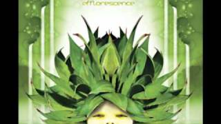Androcell - Gnome Dosed