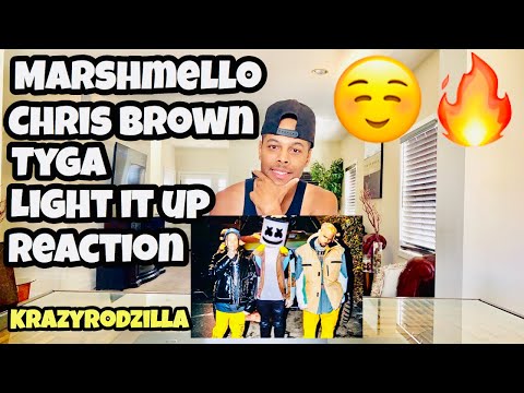 Marshmello - Light It Up ft. Tyga & Chris Brown (Official Music Video) - Reaction