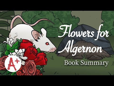 Flowers for Algernon - Book Summary