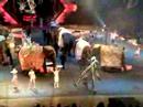 Ringling Bros And Barnum Bailey Circus