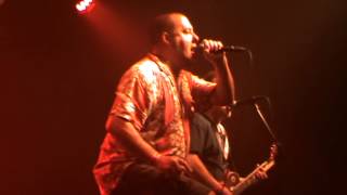 Peter and the Test Tube Babies - Shitstirrer