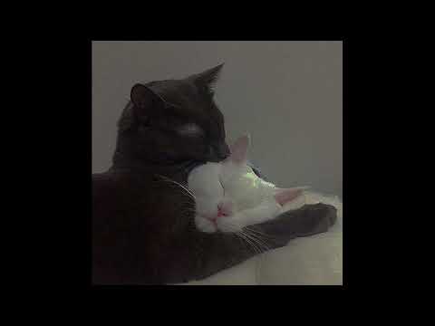 lou garcia - não fosse tão tarde (slowed + reverb)