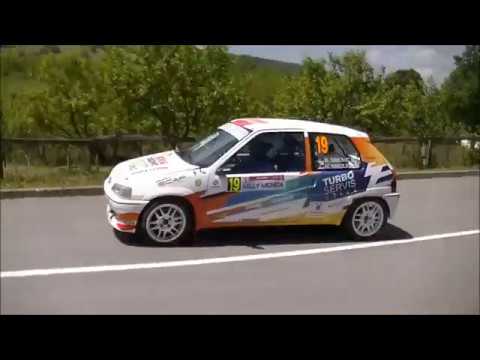 Borko Simovic / Marjan Nikolic - 3. Mionica rally 2019 - Peugeot 106