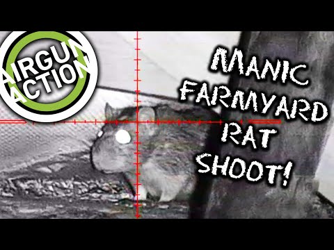 Airgun Action | Manic night vision farmyard rat shoot | Konus Pro T-30 gunsight review