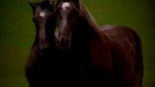 Melonie Cannon NBC Promo