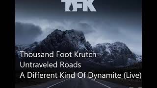 Thousand Foot Krutch - 12 A Different Kind Of Dynamite (Live)