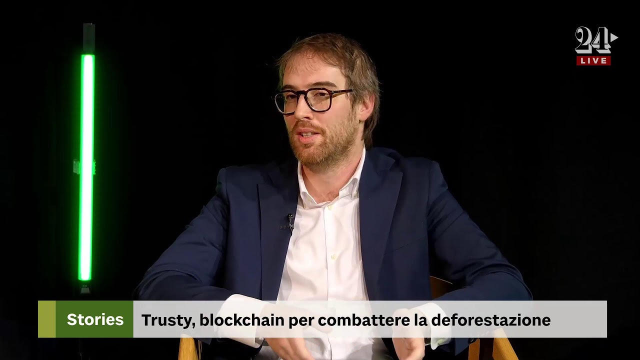 Trusty, blockchain per combattere la deforestazione