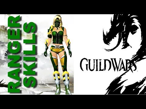 GUILD WARS 2 - North RANGER Random Build Skills Animation