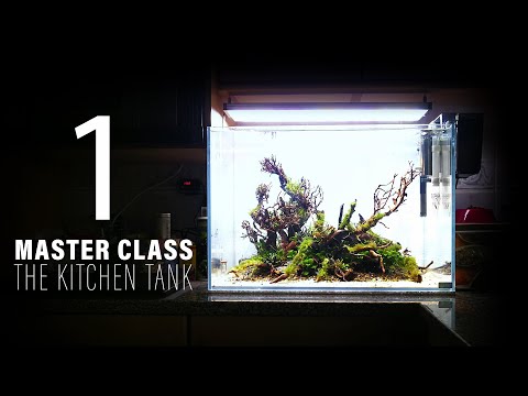 MASTER CLASS 1 - THE KITCHEN TANK