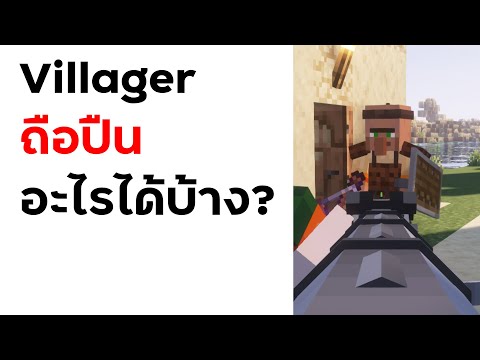 Villager ถือปืนอะไรได้บ้าง?