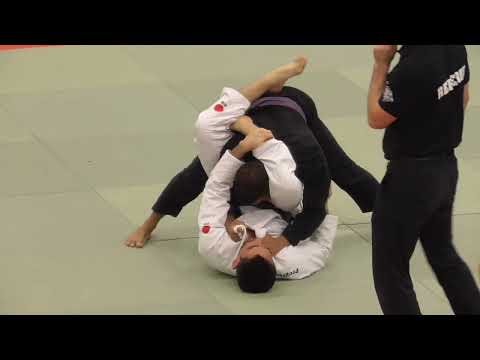 Feidias Theodosiou vs Vadul Appadu - English Open BJJ 2022 - Purple Adult - Middle