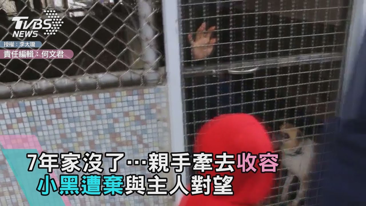 7年家沒了…親手牽去收容 小黑遭棄與主人對望