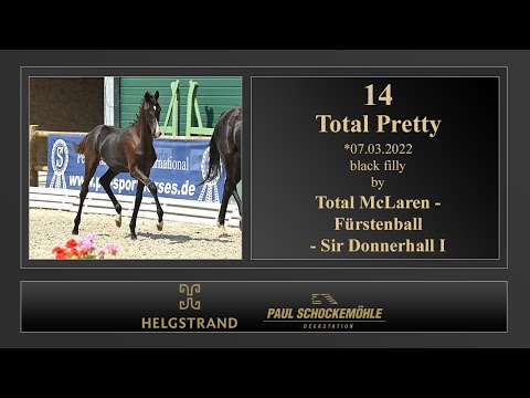 14 Total Pretty by Total McLaren - Fürstenball - Sir Donnerhall I