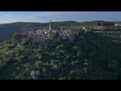 Il Veneto in Istria - Grisignana e dintorni