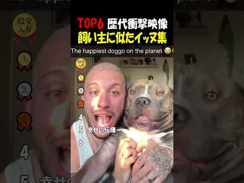 飼い主に似すぎた犬集