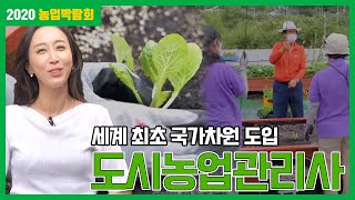 '도시농업 관리사' 란? | 2020 농업박람회