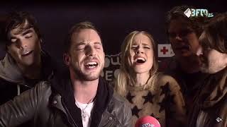 THE COMMON LINNETS FUNNY MOMENTS!