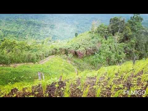 Mro indigenous zoom scene