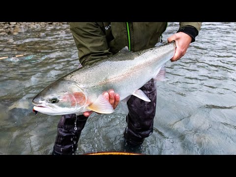 Fly Fishing for Steelhead in BC | Skeena River Lodge