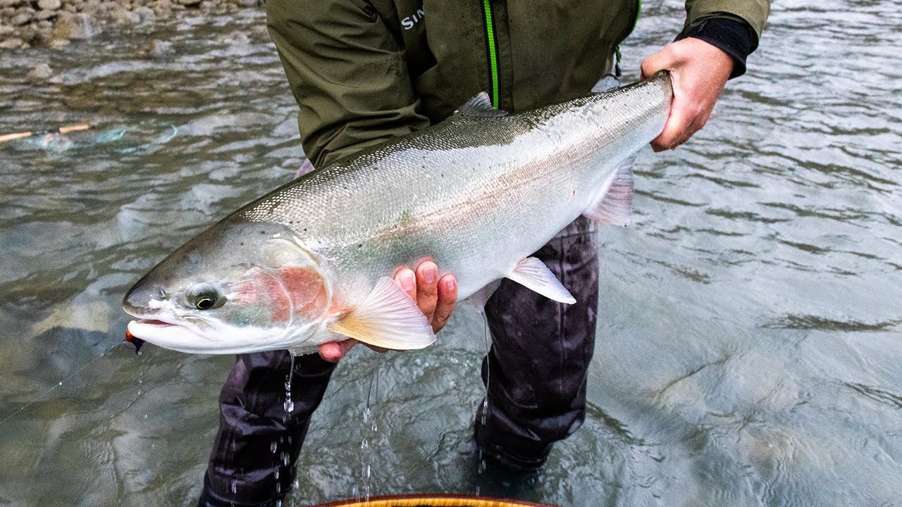 Skeena River Lodge - Video