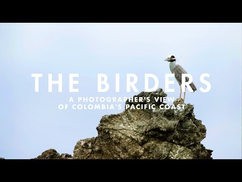 THE BIRDERS | A photographer's view of Colombia's Pacific Coast.