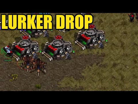 Lurker Drop - Artosis Clips - Starcraft: Remastered Broodwar