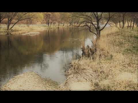 mussorgsky/ravel   tableaux d'une exposition ( h.v. karajan )