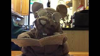 The Daily News    Tom Paxton  1964