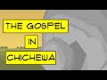 Ndingapange Chiyani Kuti Ndipulumutsidwe CHICHEWA Gospel Cartoon From The Bible CHICHEWA Cartoon