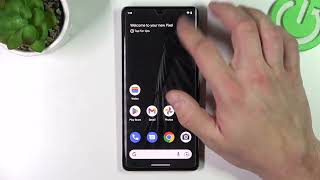 Does GOOGLE Pixel 7 Pro have Screen Mirroring?