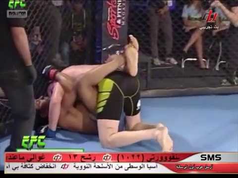 MMA PRO FIGHT