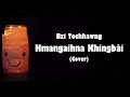 Bzi Tochhawng - Hmangaihna Khingbâi (cover)
