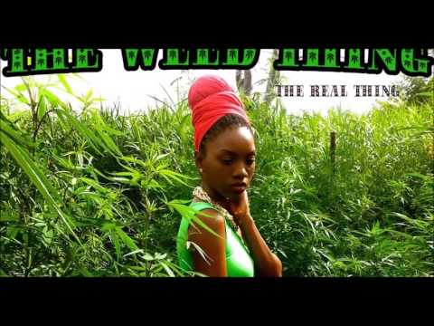 @HempressSativa - Ooh LaLaLA The Weed Thing (REMIX)