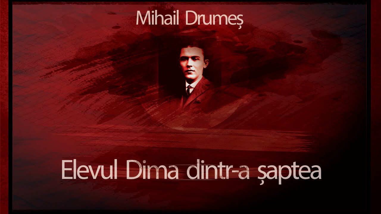 Elevul Dima dintr-a VII-a - Mihail Drumes