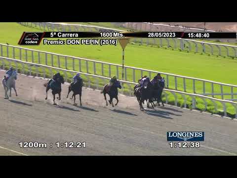 230528 c05 - ROCK N ROSE - HIPODROMO DE MAROÑAS