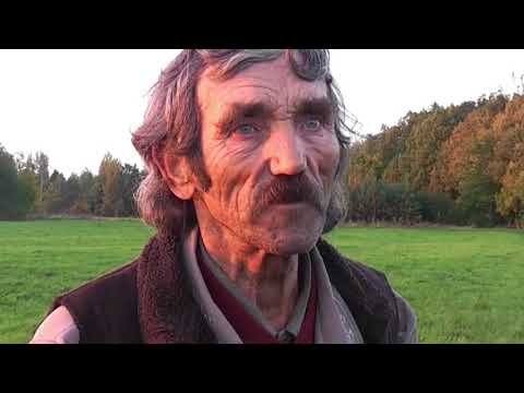 ''XD'' ll Stachu Jones ll O nie jesteśmy zgubieni ll