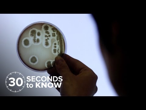 How Do You Catch E. Coli | 30 STK | NBC News