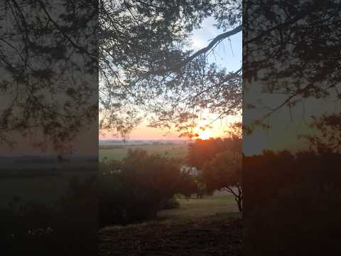 amanecer en camping Grutas de Salamanca ,Maldonado Uruguay 🇺🇾