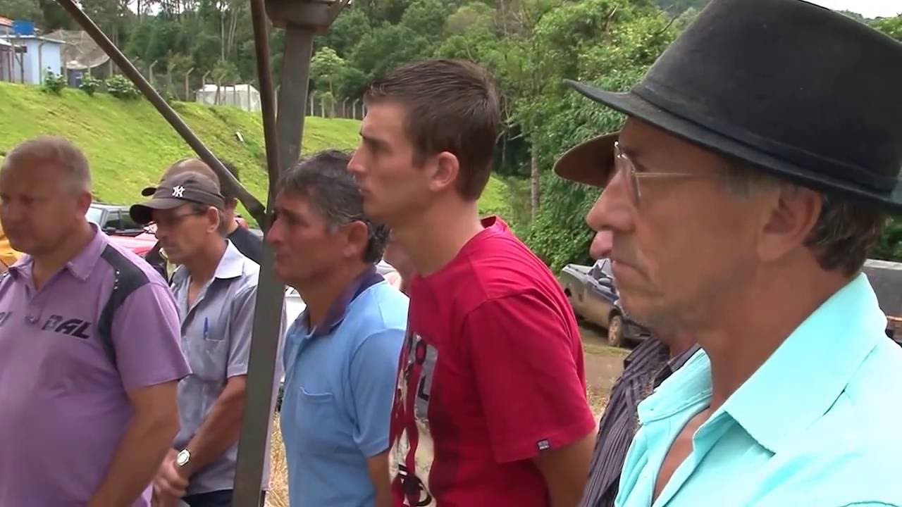 Dia de campo sobre erva-mate