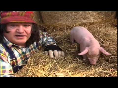 ''FAMILY FARM SURVIVAL'' By RICHIE KAVANAGH.