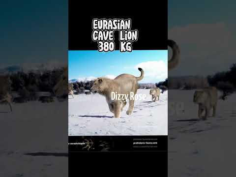 Top 14 Extinct Biggest Cats #paleontology #cats #feline #lion #tiger #smilodon #sabertooth #fyp