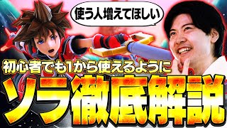 ソラの使い方を1から徹底解説！！コンボから立ち回りまでアカキクスが初心者でも分かるように教える 【スマブラSP】