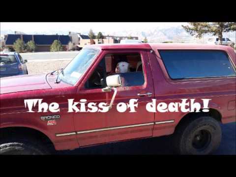 The Kiss of Death-with lyrics
