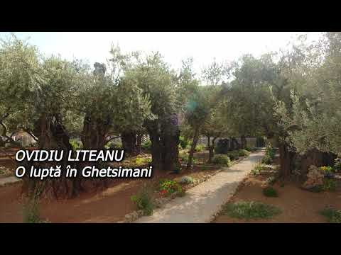 OVIDIU LITEANU  - O luptă în Ghetsimani