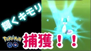 【ポケモンGO】色違いキモリ捕獲！！　色違いジュカイン誕生！　【pokemon】